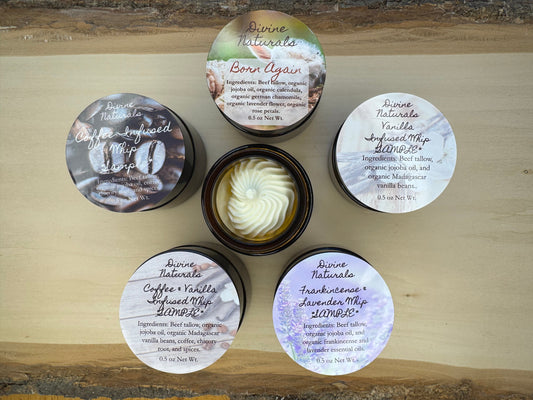 Whip Sample Pack of 5